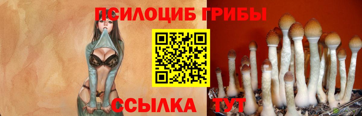 Галлюциногенные грибы мухоморы  Вход с VPN  Тольятти 